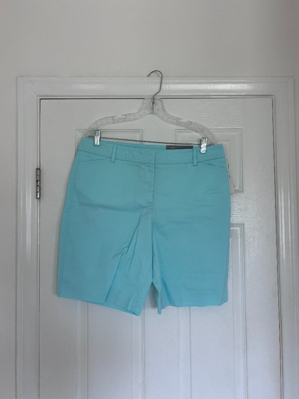 Talbots Aqua Blue Shorts